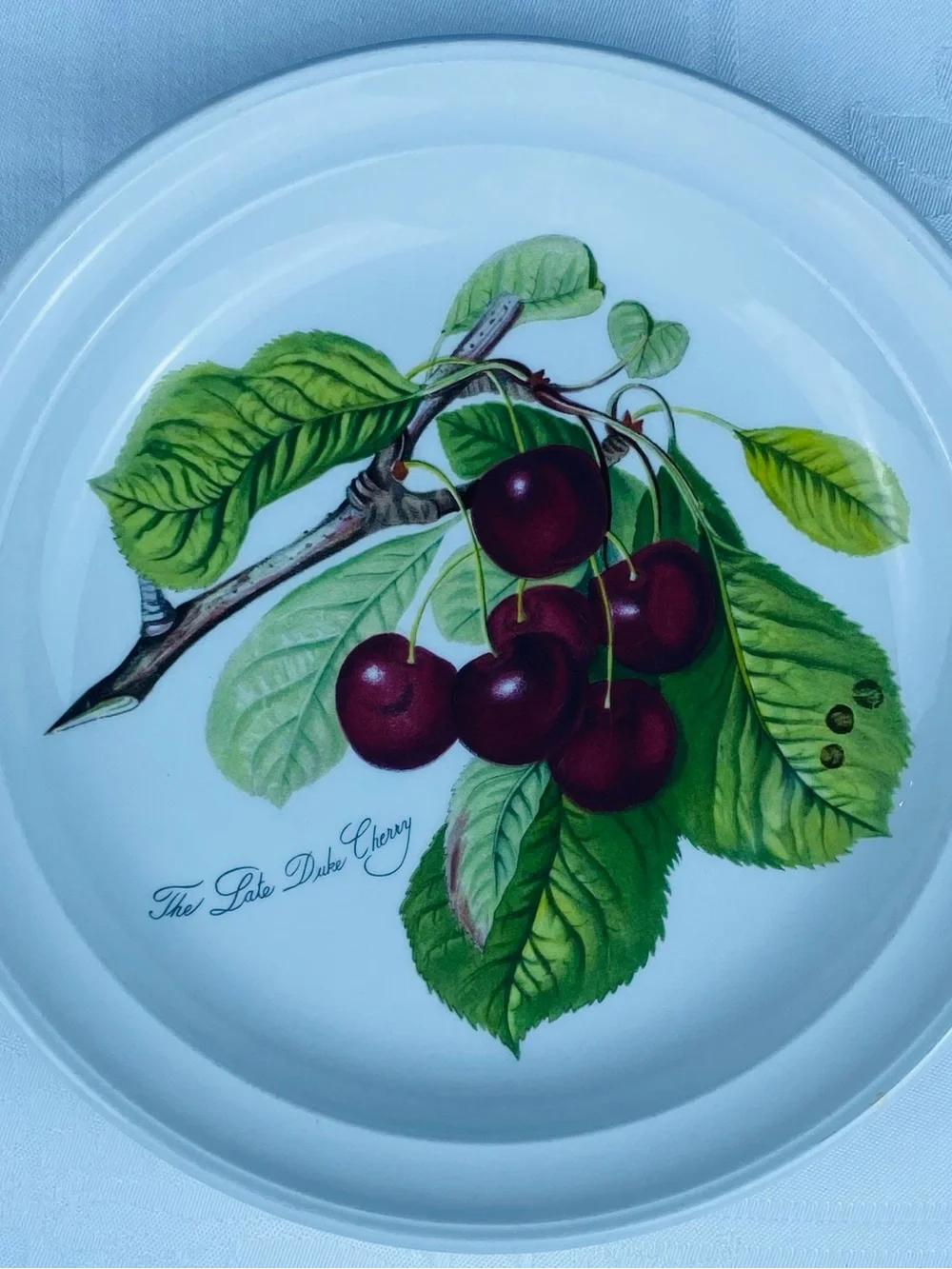 Set of 4 Vintage Portmeirion Pomana Dessert Plates 7.35” Fruit Goddess Design